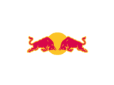 Customer Logo